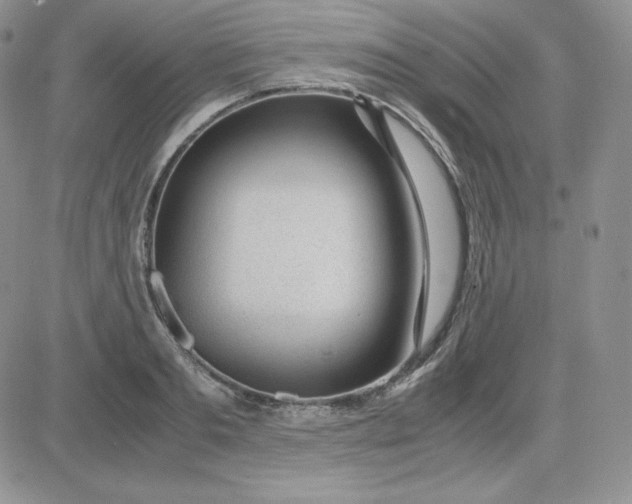 X0000081290893200701251650