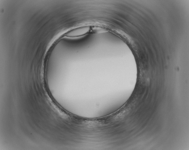 X0000081290894200701251650