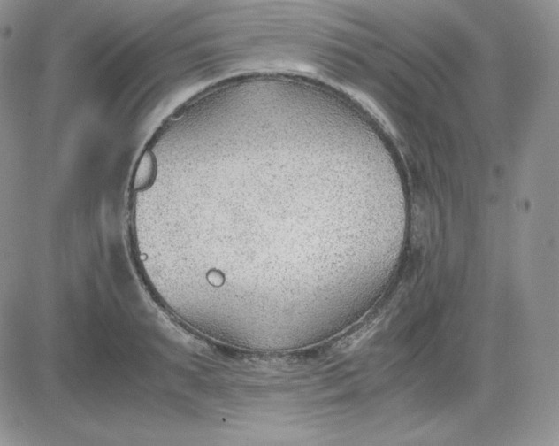 X0000081290895200701251650