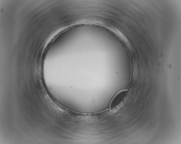 X0000081290896200701251650