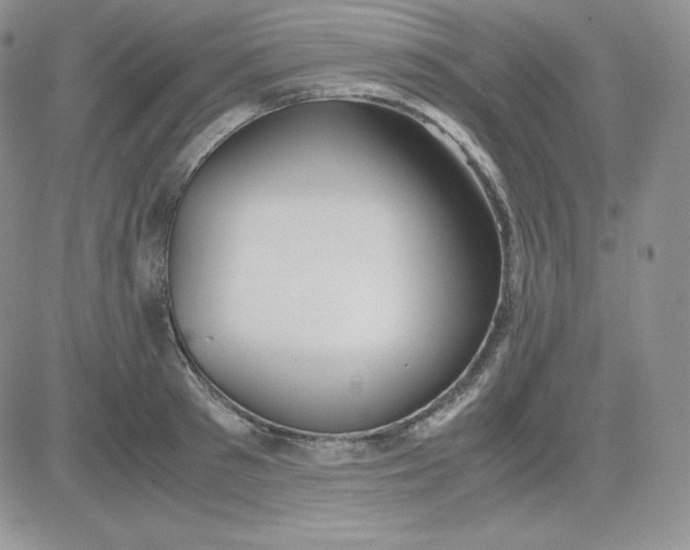 X0000081290897200701251650