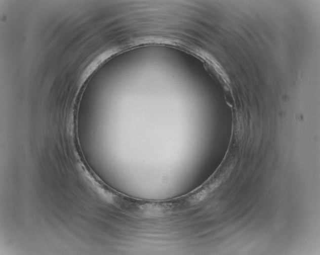 X0000081290898200701251650