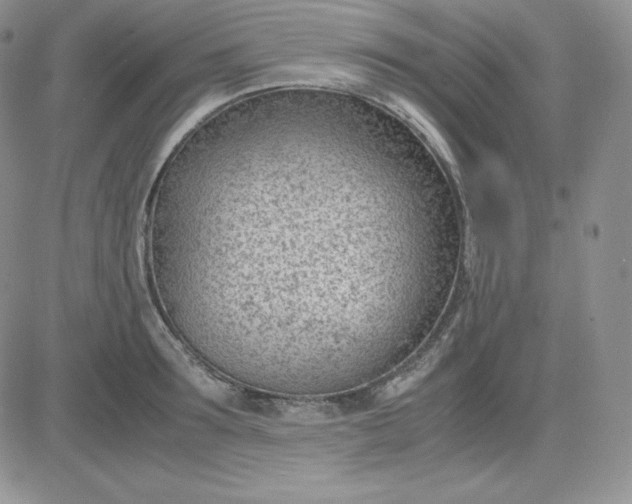 X0000081290899200701251650