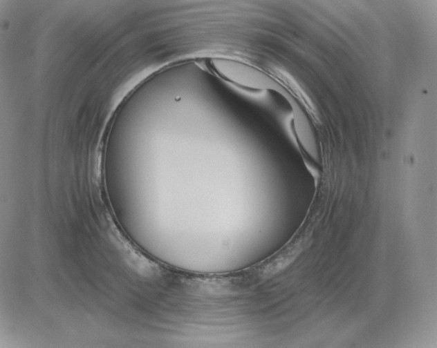 X0000081290900200701251650