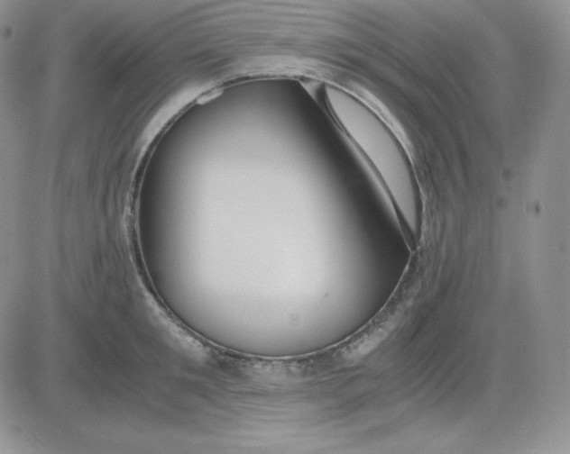 X0000081290901200701251650