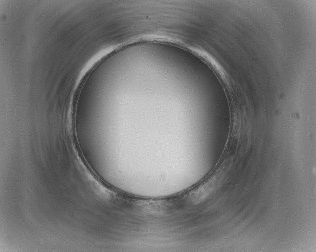 X0000081290902200701251650