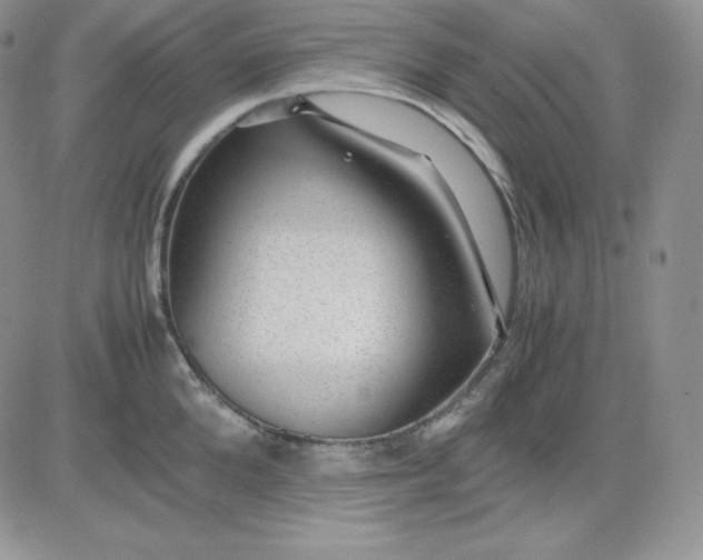 X0000081290904200701251650