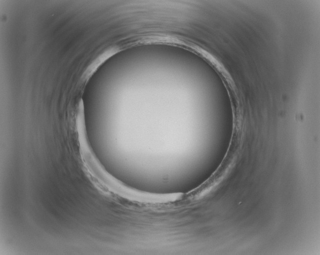 X0000081290905200701251650