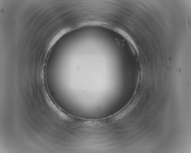 X0000081290906200701251650