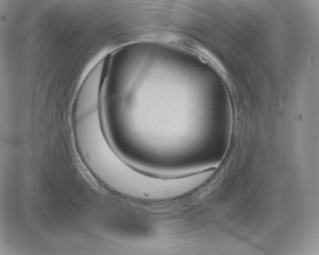 X0000081290907200701251650