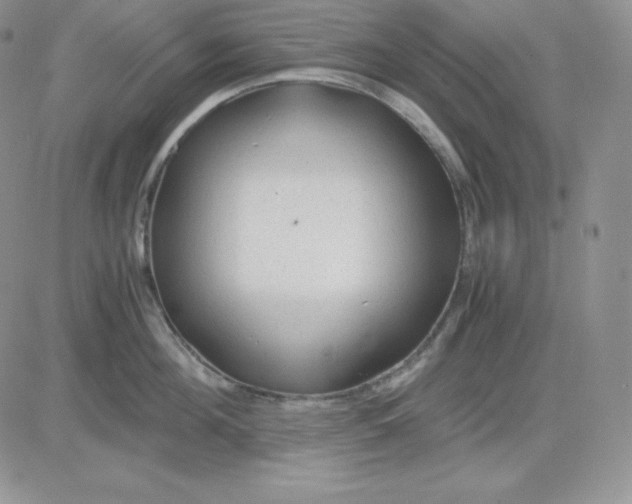 X0000081290908200701251650