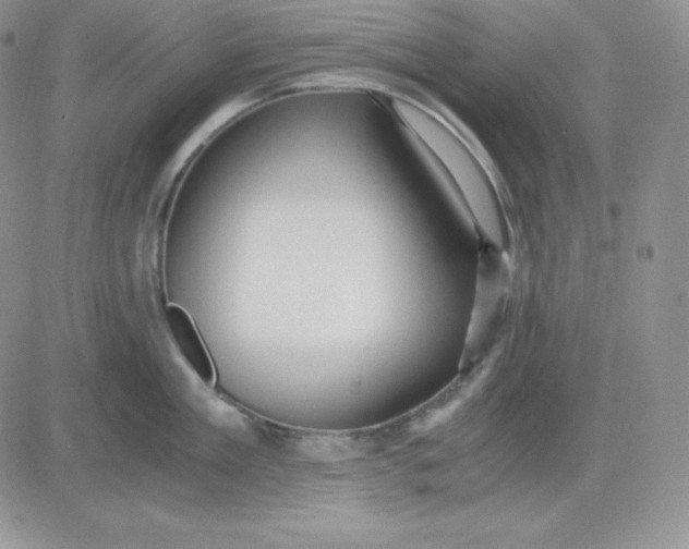 X0000081290909200701251650