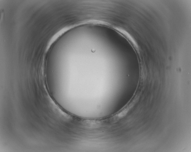 X0000081290910200701251650