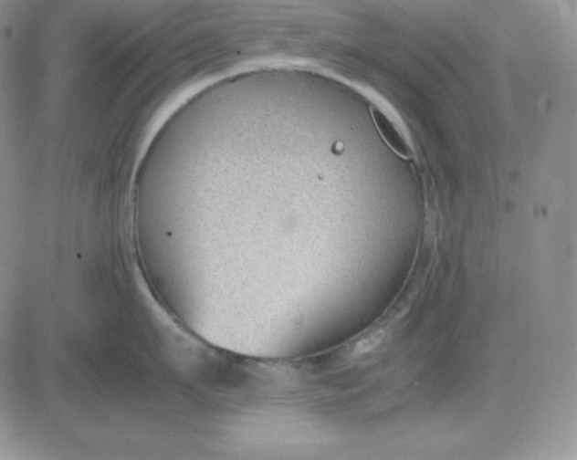 X0000081290911200701251650