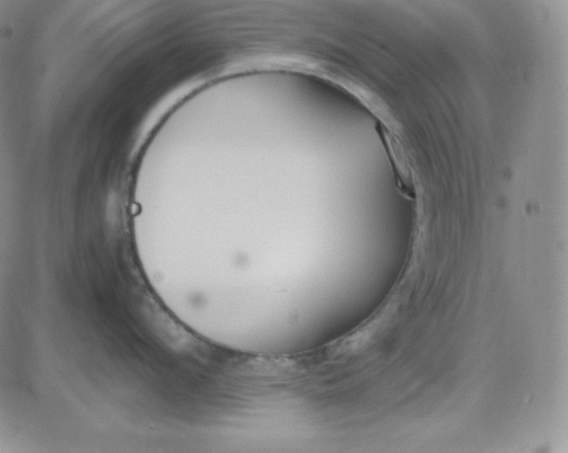 X0000081290912200701251650