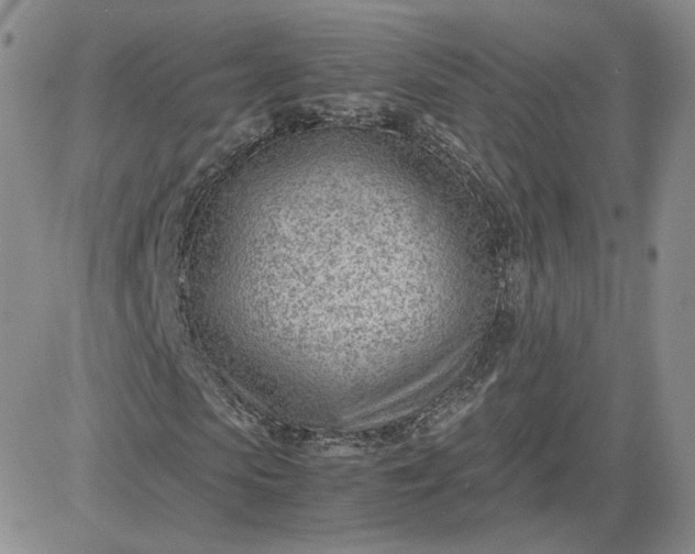 X0000081290913200701251649