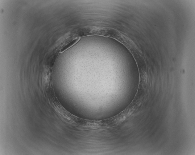 X0000081290914200701251649