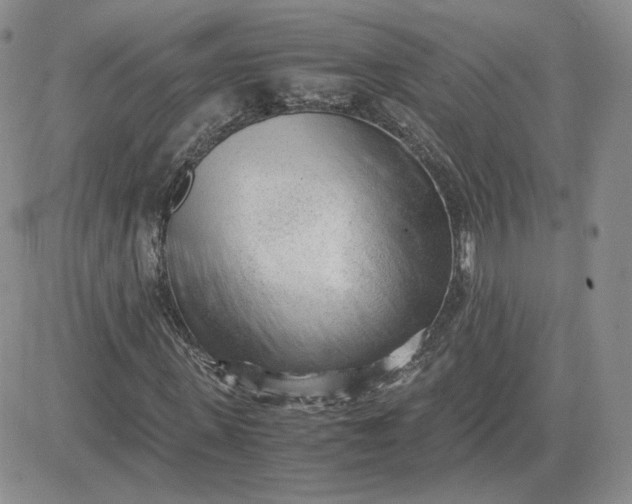 X0000081290915200701251649