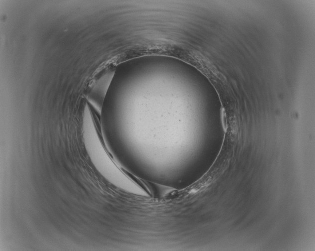 X0000081290916200701251649