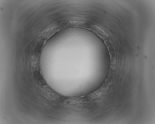 X0000081290917200701251649