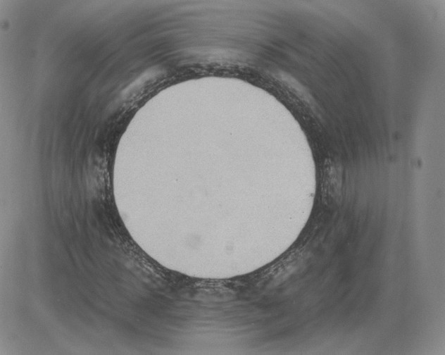 X0000081290918200701251649