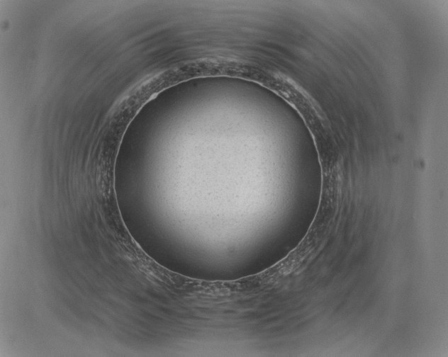 X0000081290919200701251649