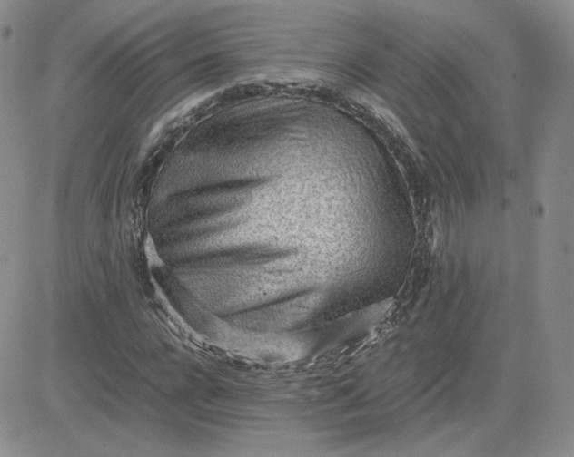 X0000081290920200701251649