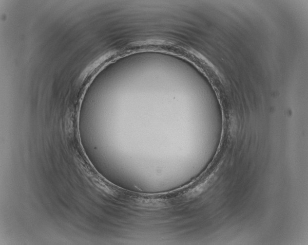 X0000081290921200701251649