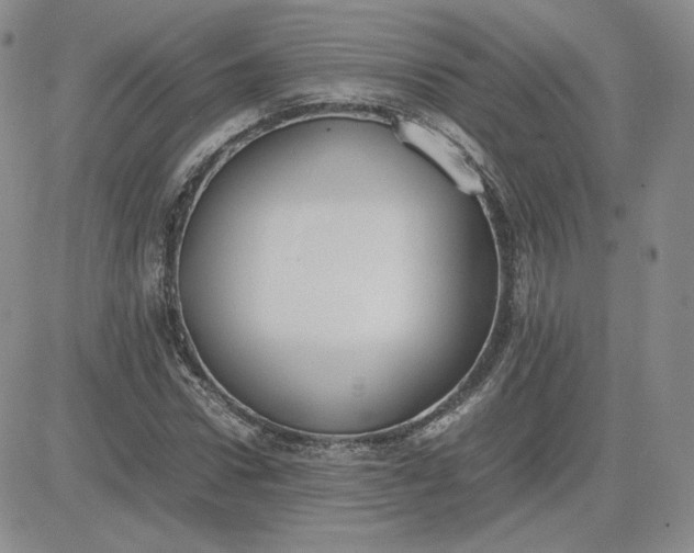 X0000081290922200701251649