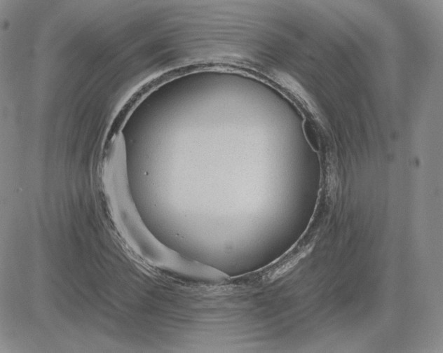 X0000081290924200701251649