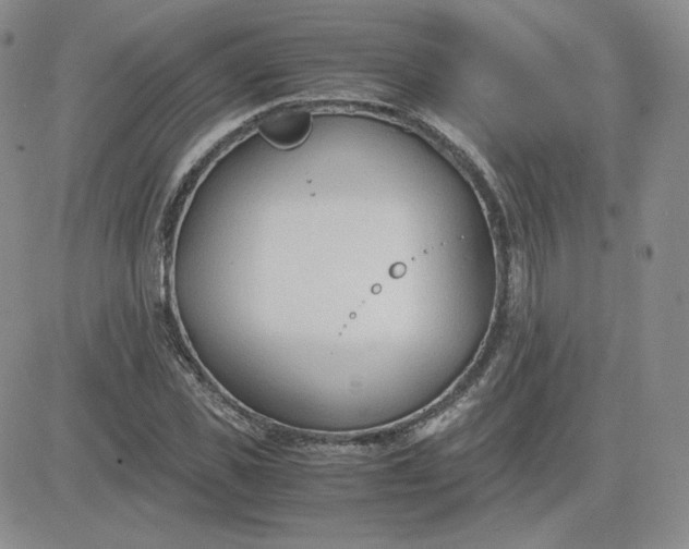 X0000081290925200701251649