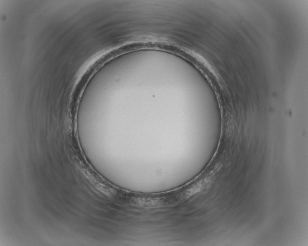 X0000081290927200701251649