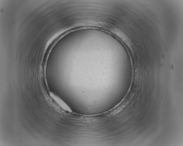 X0000081290928200701251649