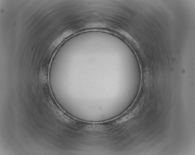 X0000081290929200701251649