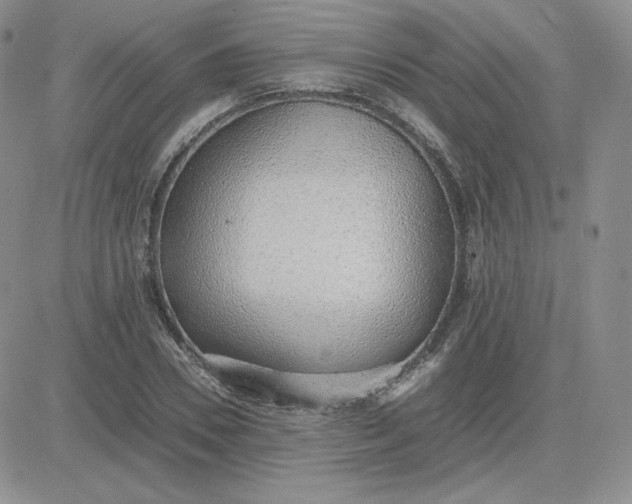 X0000081290930200701251649