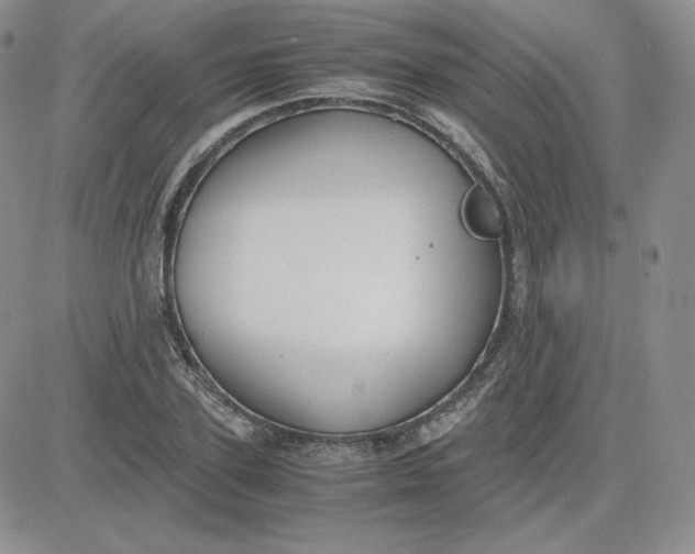 X0000081290931200701251649