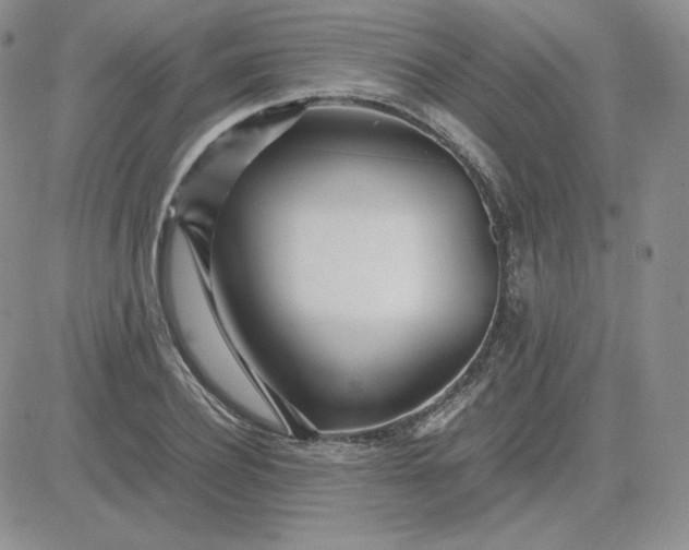 X0000081290932200701251649