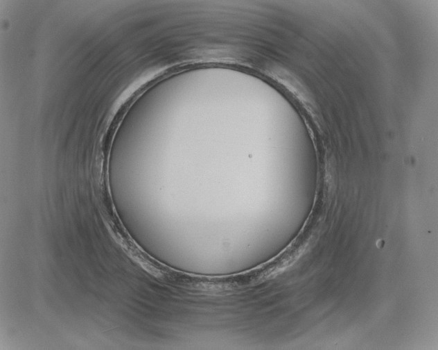 X0000081290933200701251649