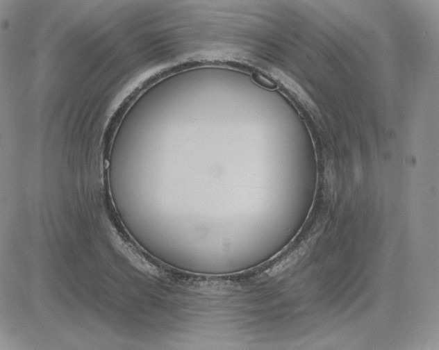 X0000081290934200701251649