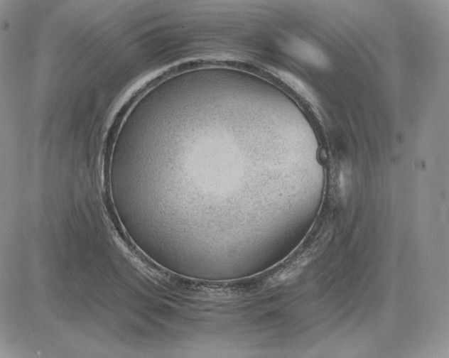 X0000081290935200701251649