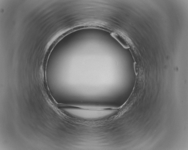 X0000081290936200701251649