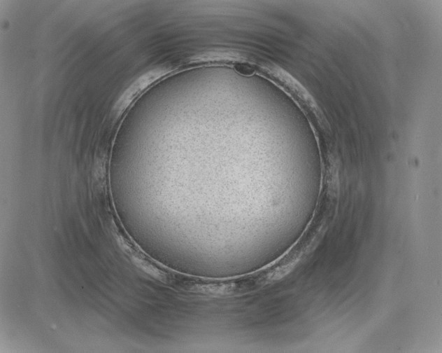 X0000081290937200701251649