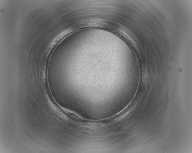 X0000081290938200701251649