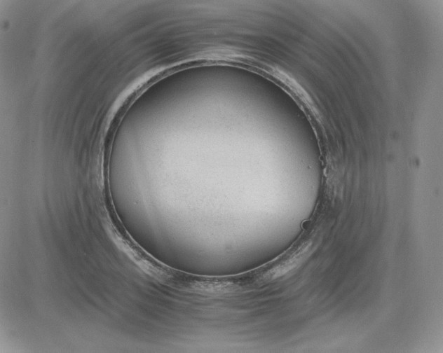 X0000081290939200701251649