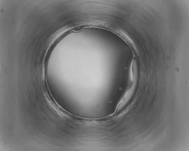 X0000081290940200701251649