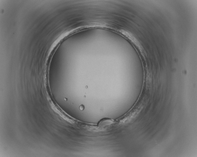 X0000081290941200701251649