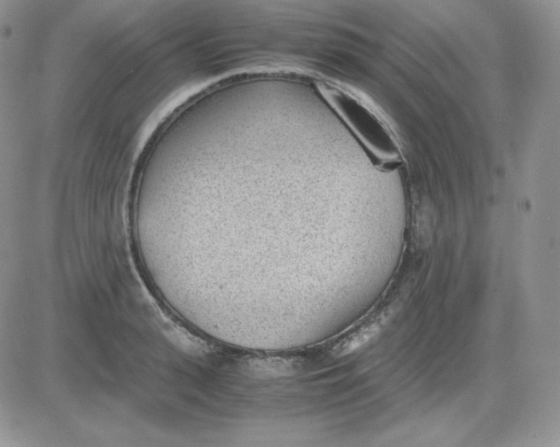 X0000081290943200701251649