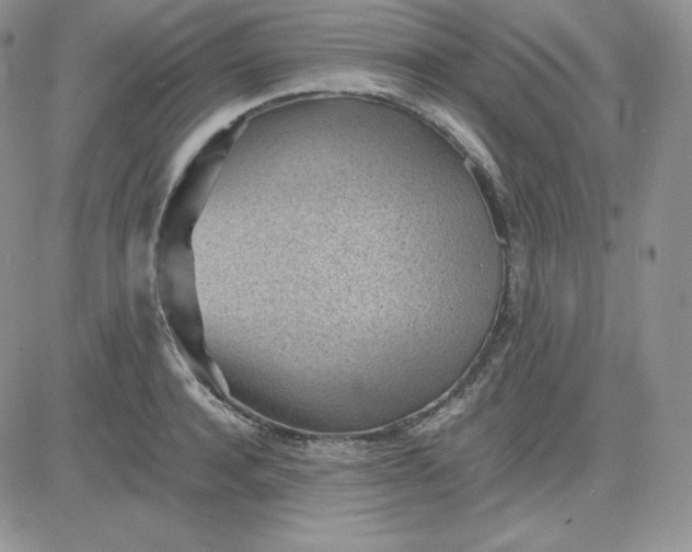 X0000081290944200701251649