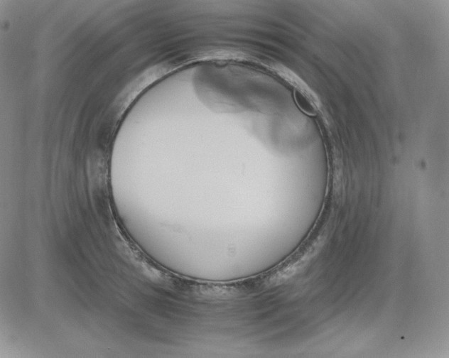 X0000081290945200701251649