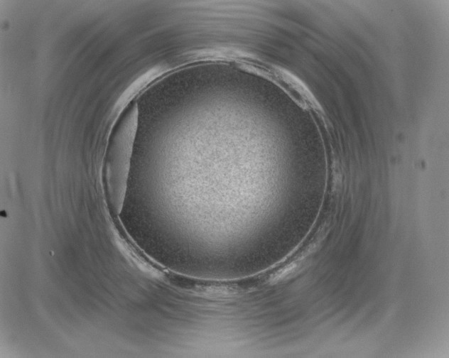 X0000081290946200701251649